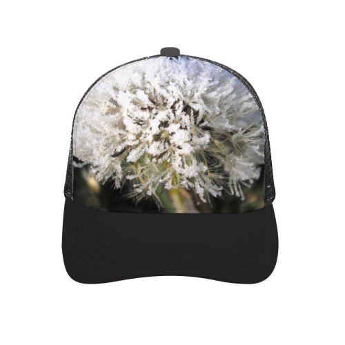 yanfind Adult Bend Rubber Baseball Hollow Out Dandelion Frozen Morning Winter Flower Plant Flowering Frost Wildflower Marsh Tea Beach,Tourism,Mountaineering,Sports, Parties,Cycling