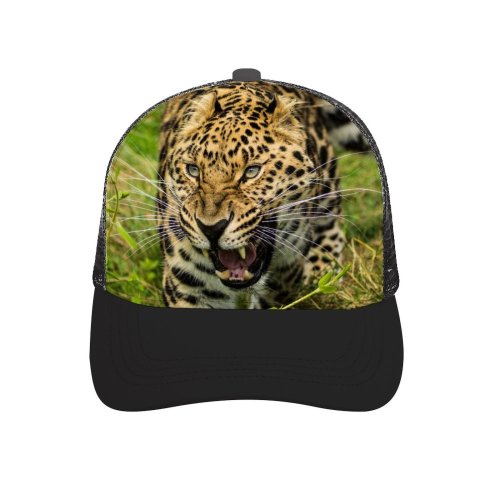 yanfind Adult Bend Rubber Baseball Hollow Out Grass Wild Big Cat K Beach,Tourism,Mountaineering,Sports, Parties,Cycling