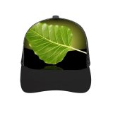 yanfind Adult Bend Rubber Baseball Hollow Out Leaf Buddhist Bodhi Plant Flower Tree Flowering Macro Stem Beach,Tourism,Mountaineering,Sports, Parties,Cycling