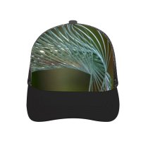 yanfind Adult Bend Rubber Baseball Hollow Out Detailed Art Use Sunlight Glass Lines Abtract Pine Leaf Tree Georgia Plant Beach,Tourism,Mountaineering,Sports, Parties,Cycling