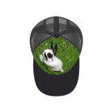 yanfind Adult Bend Rubber Baseball Hollow Out Rabbit Garden Grass Flowers Summer Vertebrate Rabbits Hares Hare Whiskers Snout Plant Beach,Tourism,Mountaineering,Sports, Parties,Cycling