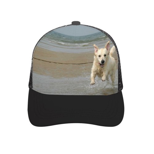 yanfind Adult Bend Rubber Baseball Hollow Out Golden Dog Pet Sea Vertebrate Canidae Carnivore Berger Blanc Suisse Sporting Beach,Tourism,Mountaineering,Sports, Parties,Cycling