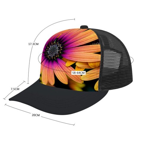 yanfind Adult Bend Rubber Baseball Hollow Out Daisy Flowers Colorful Closeup Macro Flower Heads Spring Garden Floral K Beach,Tourism,Mountaineering,Sports, Parties,Cycling
