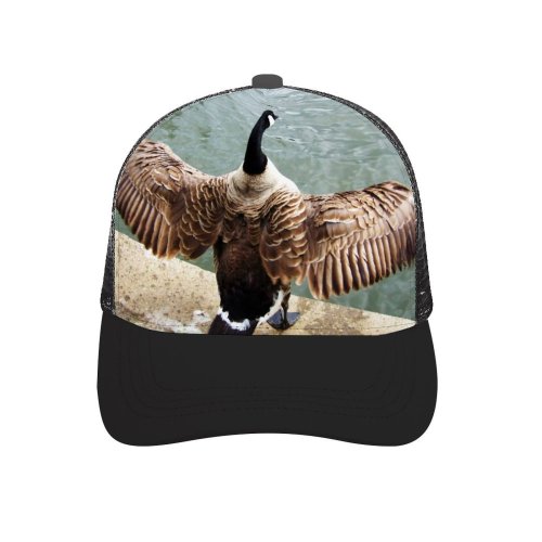 yanfind Adult Bend Rubber Baseball Hollow Out Pond Lake Goose Duck Bird Geese Wing Span Sunshine Ripples Vertebrate Beach,Tourism,Mountaineering,Sports, Parties,Cycling