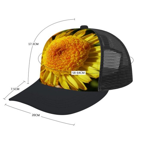 yanfind Adult Bend Rubber Baseball Hollow Out Golden Flower Little Flowering Plant Petal Pollen English Marigold Annual Wildflower Beach,Tourism,Mountaineering,Sports, Parties,Cycling