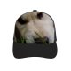 yanfind Adult Bend Rubber Baseball Hollow Out Puppy Dog Golden Vertebrate Canidae Nose Carnivore Snout Whiskers Beach,Tourism,Mountaineering,Sports, Parties,Cycling