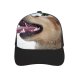 yanfind Adult Bend Rubber Baseball Hollow Out Dog Dogs Golden Vertebrate Canidae Facial Expression Snout Nose Carnivore Beach,Tourism,Mountaineering,Sports, Parties,Cycling