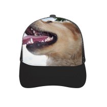 yanfind Adult Bend Rubber Baseball Hollow Out Dog Dogs Golden Vertebrate Canidae Facial Expression Snout Nose Carnivore Beach,Tourism,Mountaineering,Sports, Parties,Cycling
