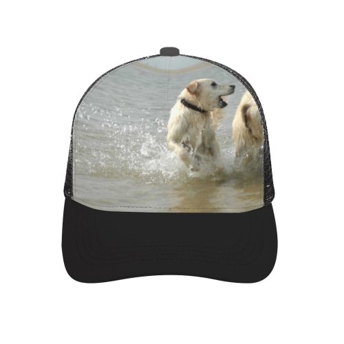 yanfind Adult Bend Rubber Baseball Hollow Out Golden Dog Pet Sea Vertebrate Canidae Carnivore Sporting Irish Soft Coated Wheaten Beach,Tourism,Mountaineering,Sports, Parties,Cycling