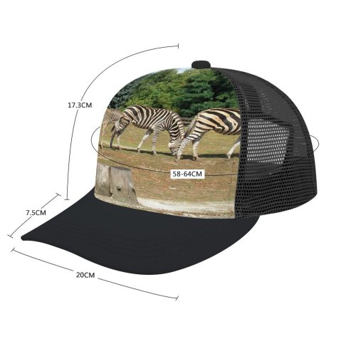 yanfind Adult Bend Rubber Baseball Hollow Out Zebra Terrestrial Wildlife Grass Snout Tree Organism Beach,Tourism,Mountaineering,Sports, Parties,Cycling