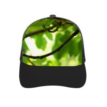 yanfind Adult Bend Rubber Baseball Hollow Out Fig Tree Leaves Branches Shade Fruit Leaf Branch Plant Twig Woody Organism Beach,Tourism,Mountaineering,Sports, Parties,Cycling