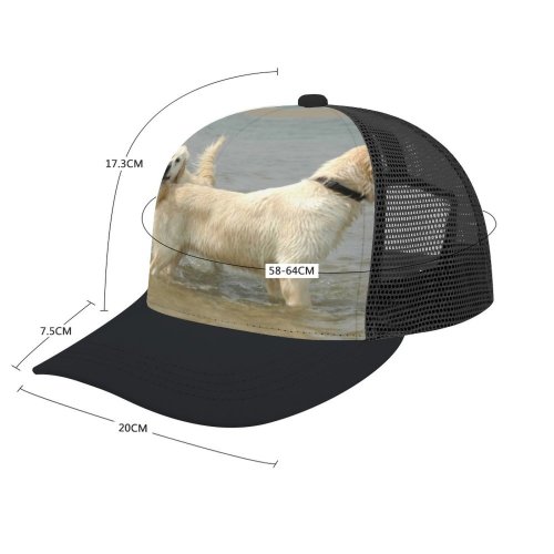 yanfind Adult Bend Rubber Baseball Hollow Out Golden Dog Pet Sea Vertebrate Canidae Polish Tatra Sheepdog Carnivore Maremma Beach,Tourism,Mountaineering,Sports, Parties,Cycling