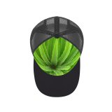 yanfind Adult Bend Rubber Baseball Hollow Out Plants Leaf Terrestrial Plant Vegetation Vascular Flower Ferns Horsetails Flowering Beach,Tourism,Mountaineering,Sports, Parties,Cycling