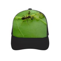 yanfind Adult Bend Rubber Baseball Hollow Out Ant Ants Leaf Insect Bug Bugs Pest Carpenter Invertebrate Membrane Winged Macro Beach,Tourism,Mountaineering,Sports, Parties,Cycling
