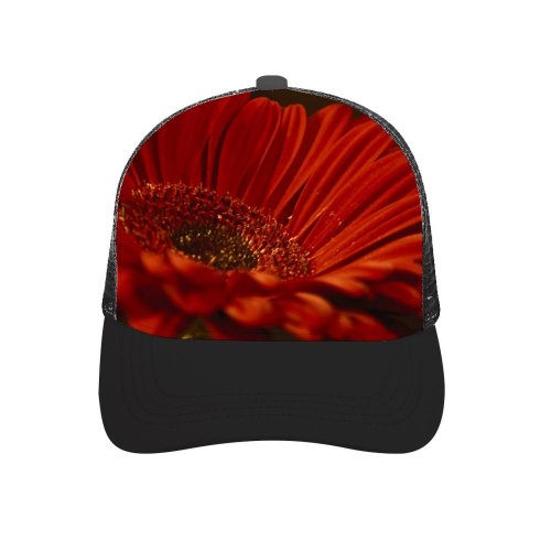 yanfind Adult Bend Rubber Baseball Hollow Out Gerbera Daisy Flower Closeup Macro Dark Petals Bloom Spring K Beach,Tourism,Mountaineering,Sports, Parties,Cycling