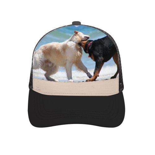 yanfind Adult Bend Rubber Baseball Hollow Out Dog Beach Play Sand Foreshore Coast Vertebrate Canidae Carnivore Sporting Working Street Beach,Tourism,Mountaineering,Sports, Parties,Cycling