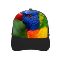 yanfind Adult Bend Rubber Baseball Hollow Out Parrot Colorful Bird Multicolor Closeup K Beach,Tourism,Mountaineering,Sports, Parties,Cycling