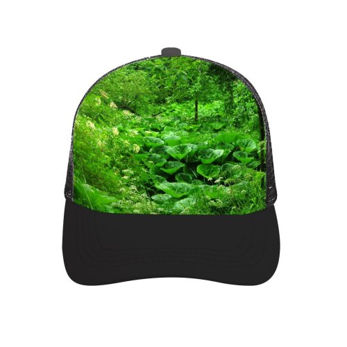 yanfind Adult Bend Rubber Baseball Hollow Out Plant Tree Grass Bush Gate Vegetation Natural Landscape Forest Old Growth Tropical Beach,Tourism,Mountaineering,Sports, Parties,Cycling