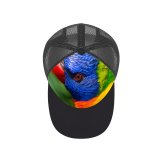 yanfind Adult Bend Rubber Baseball Hollow Out Parrot Colorful Bird Multicolor Closeup K Beach,Tourism,Mountaineering,Sports, Parties,Cycling