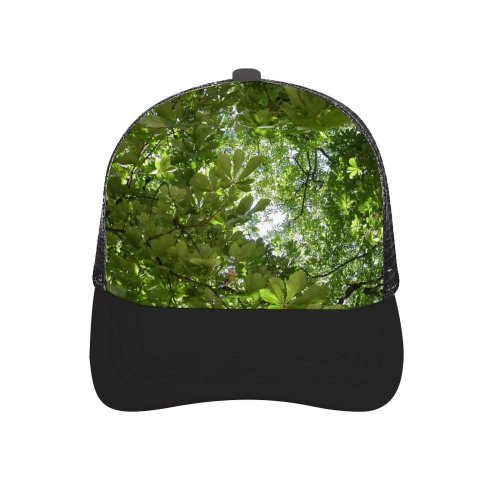 yanfind Adult Bend Rubber Baseball Hollow Out Summer Parc Jardin France Tree Leaves Plant Leaf Woody Branch Sunlight Beach,Tourism,Mountaineering,Sports, Parties,Cycling