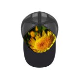 yanfind Adult Bend Rubber Baseball Hollow Out Golden Flower Little Flowering Plant Petal Pollen English Marigold Annual Wildflower Beach,Tourism,Mountaineering,Sports, Parties,Cycling