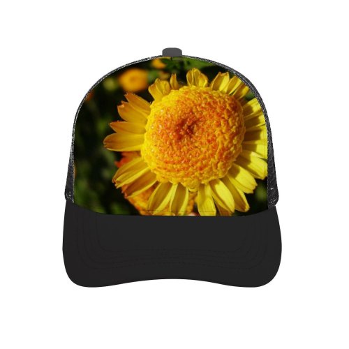 yanfind Adult Bend Rubber Baseball Hollow Out Golden Flower Little Flowering Plant Petal Pollen English Marigold Annual Wildflower Beach,Tourism,Mountaineering,Sports, Parties,Cycling