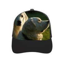 yanfind Adult Bend Rubber Baseball Hollow Out Dog Golden Vertebrate Canidae Carnivore Maremma Sheepdog Polish Tatra Beach,Tourism,Mountaineering,Sports, Parties,Cycling