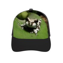 yanfind Adult Bend Rubber Baseball Hollow Out Amazonian Milk Frog Qute Amphibian Stripes Zebra Phrynohyas Resinifictrix Smile Tree Poison Beach,Tourism,Mountaineering,Sports, Parties,Cycling