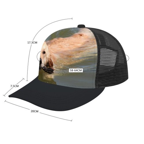 yanfind Adult Bend Rubber Baseball Hollow Out Golden Dog Swim Beach Fetch Pet Vertebrate Canidae Carnivore Sporting Beach,Tourism,Mountaineering,Sports, Parties,Cycling