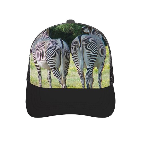 yanfind Adult Bend Rubber Baseball Hollow Out Zebra Terrestrial Vertebrate Wildlife Grassland Grass Plant Community Adaptation Beach,Tourism,Mountaineering,Sports, Parties,Cycling