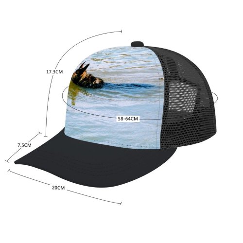 yanfind Adult Bend Rubber Baseball Hollow Out Dog Family Dogs Pond Canidae German Dobermann Carnivore Summer Sea Guard Beach,Tourism,Mountaineering,Sports, Parties,Cycling