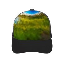 yanfind Adult Bend Rubber Baseball Hollow Out Abstract Pixelscape Isle La Motte Scene Scenic Scenery Landscape Sea Waterscape Marsh Beach,Tourism,Mountaineering,Sports, Parties,Cycling