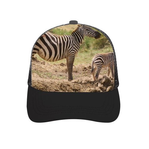 yanfind Adult Bend Rubber Baseball Hollow Out Africa Kenya Park Zebra Child Mother Terrestrial Wildlife Vertebrate Grassland Savanna Grass Beach,Tourism,Mountaineering,Sports, Parties,Cycling