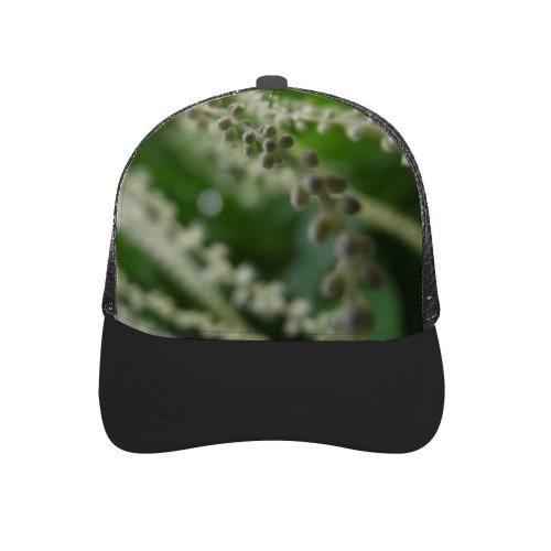 yanfind Adult Bend Rubber Baseball Hollow Out Art Leafs Macro Beatuful Cool Blurry Photo Outoffocus Plants Flowers Calm Summer Beach,Tourism,Mountaineering,Sports, Parties,Cycling