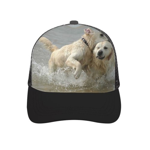 yanfind Adult Bend Rubber Baseball Hollow Out Golden Dog Pet Sea Vertebrate Canidae Carnivore Sporting Fun Beach,Tourism,Mountaineering,Sports, Parties,Cycling