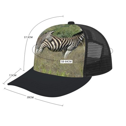 yanfind Adult Bend Rubber Baseball Hollow Out Zebras Zebra Wild Outdoors Africa Safari Pilansberg Terrestrial Wildlife Vertebrate Grassland Plant Beach,Tourism,Mountaineering,Sports, Parties,Cycling