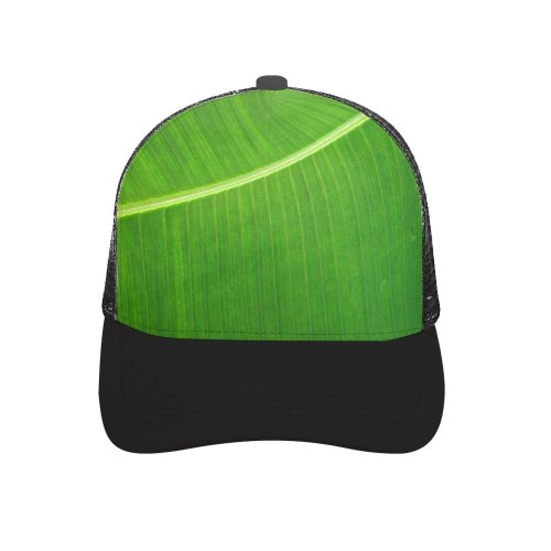 yanfind Adult Bend Rubber Baseball Hollow Out Brazil Brasil Texture Flower Tree Twig Barren Ecology Trip Travel Place Beach,Tourism,Mountaineering,Sports, Parties,Cycling