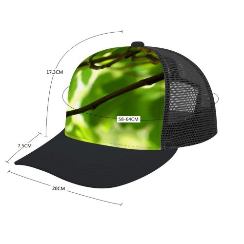 yanfind Adult Bend Rubber Baseball Hollow Out Fig Tree Leaves Branches Shade Fruit Leaf Branch Plant Twig Woody Organism Beach,Tourism,Mountaineering,Sports, Parties,Cycling