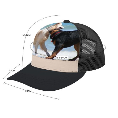 yanfind Adult Bend Rubber Baseball Hollow Out Dog Beach Play Sand Foreshore Coast Vertebrate Canidae Carnivore Sporting Working Street Beach,Tourism,Mountaineering,Sports, Parties,Cycling