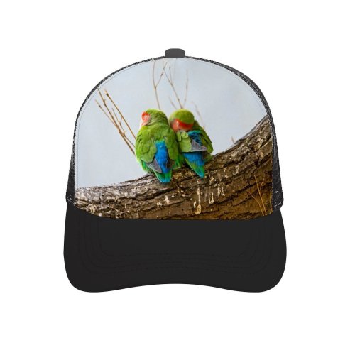yanfind Adult Bend Rubber Baseball Hollow Out Cute Rosy Faced Lovebirds Peach Bird Couple Tree Branch Colorful Beach,Tourism,Mountaineering,Sports, Parties,Cycling