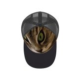 yanfind Adult Bend Rubber Baseball Hollow Out Cat Kitty Pet Kitten Closeup Look Eyes Grey Cute Portrait Whiskers Medium Beach,Tourism,Mountaineering,Sports, Parties,Cycling