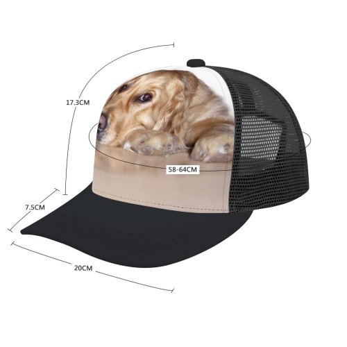 yanfind Adult Bend Rubber Baseball Hollow Out Dog Golden Sweet Canidae Carnivore Snout Nose Sporting Puppy Beach,Tourism,Mountaineering,Sports, Parties,Cycling