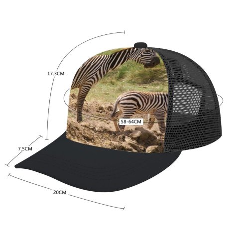 yanfind Adult Bend Rubber Baseball Hollow Out Africa Kenya Park Zebra Child Mother Terrestrial Wildlife Vertebrate Grassland Savanna Grass Beach,Tourism,Mountaineering,Sports, Parties,Cycling