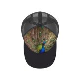 yanfind Adult Bend Rubber Baseball Hollow Out Peafowl Beautiful Feathers Closeup Bird Colorful K Beach,Tourism,Mountaineering,Sports, Parties,Cycling