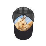 yanfind Adult Bend Rubber Baseball Hollow Out Horse Fence Portrait Bokeh Beach,Tourism,Mountaineering,Sports, Parties,Cycling