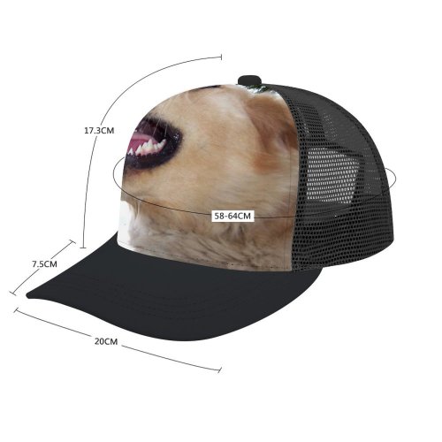 yanfind Adult Bend Rubber Baseball Hollow Out Dog Dogs Golden Vertebrate Canidae Facial Expression Snout Nose Carnivore Beach,Tourism,Mountaineering,Sports, Parties,Cycling