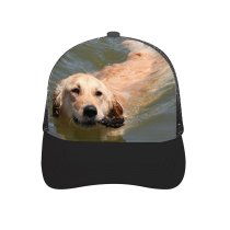 yanfind Adult Bend Rubber Baseball Hollow Out Golden Dog Swim Beach Fetch Pet Vertebrate Canidae Carnivore Sporting Beach,Tourism,Mountaineering,Sports, Parties,Cycling