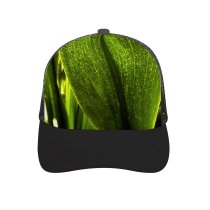 yanfind Adult Bend Rubber Baseball Hollow Out Plant Leaf Flower Garden Terrestrial Botany Macro Flowering Beach,Tourism,Mountaineering,Sports, Parties,Cycling