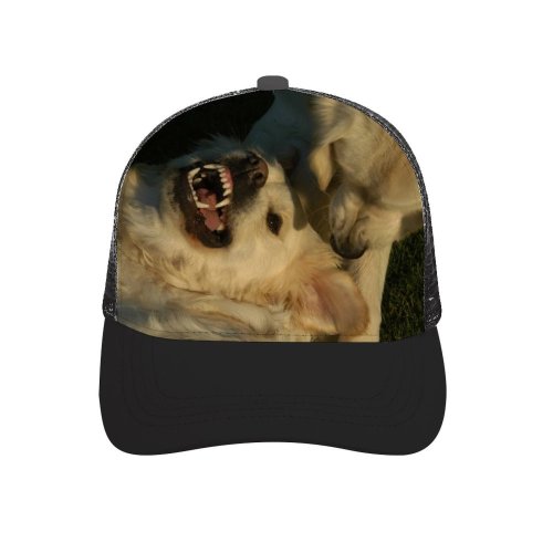 yanfind Adult Bend Rubber Baseball Hollow Out Dog Golden Vertebrate Canidae Carnivore Great Pyrenees Snout Sporting Beach,Tourism,Mountaineering,Sports, Parties,Cycling