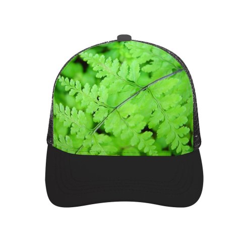 yanfind Adult Bend Rubber Baseball Hollow Out Brazil Brasil Flower Tree Twig Barren Ecology Trip Travel Place Beach,Tourism,Mountaineering,Sports, Parties,Cycling